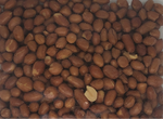 Peanut Roasted Salted Oily 350 gms