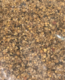 Steak spice Montreal 150 gms