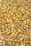 Channadal Spicy 300 gms