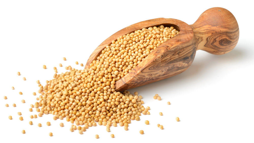 Yellow Mustard Seeds – Trupti Enterprises Inc