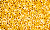 Channadal Gram